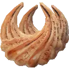 Серьги золотые