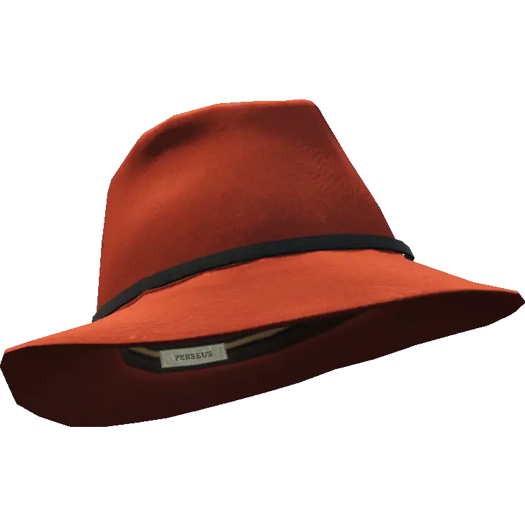 Шляпа с тонкой вставкой