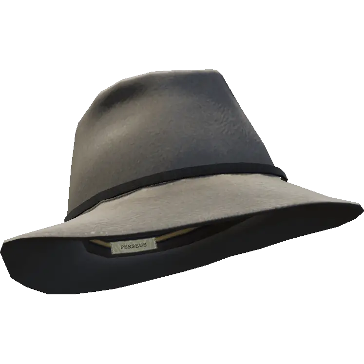 Шляпа с тонкой вставкой