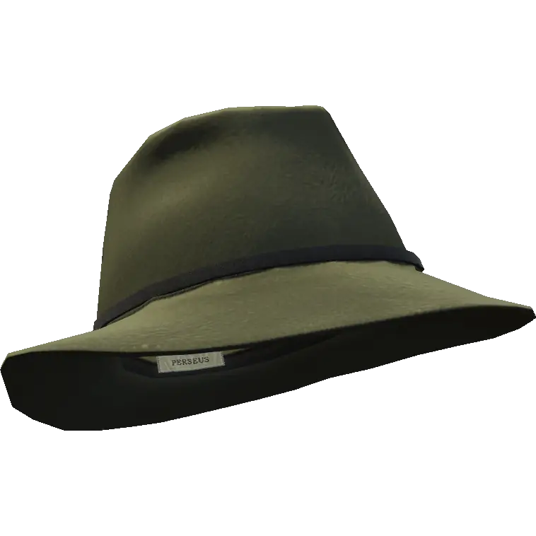 Шляпа с тонкой вставкой