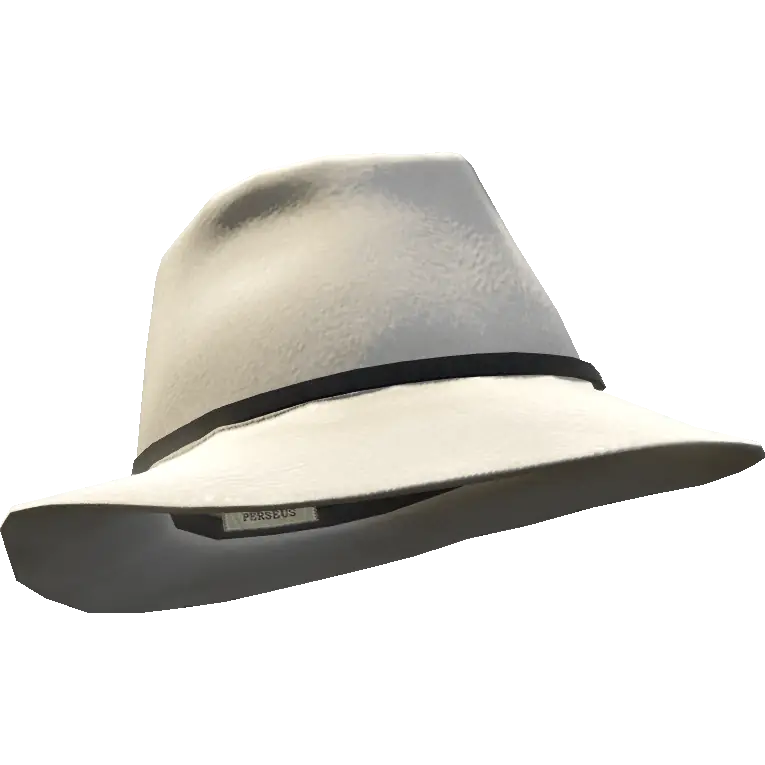 Шляпа с тонкой вставкой