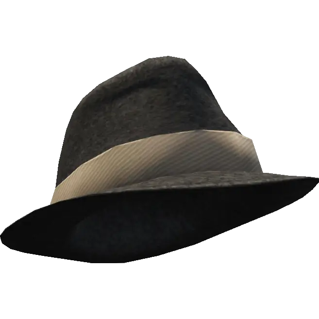 Шляпа с широкой вставкой