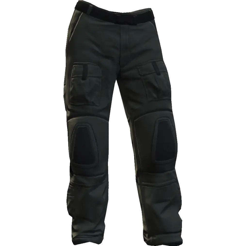 Гоночные штаны