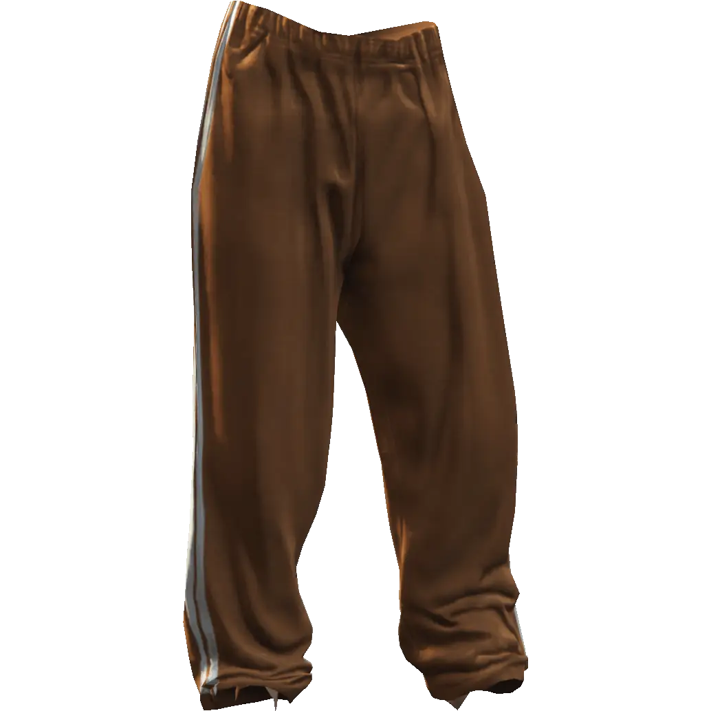 Спортивные штаны уличные