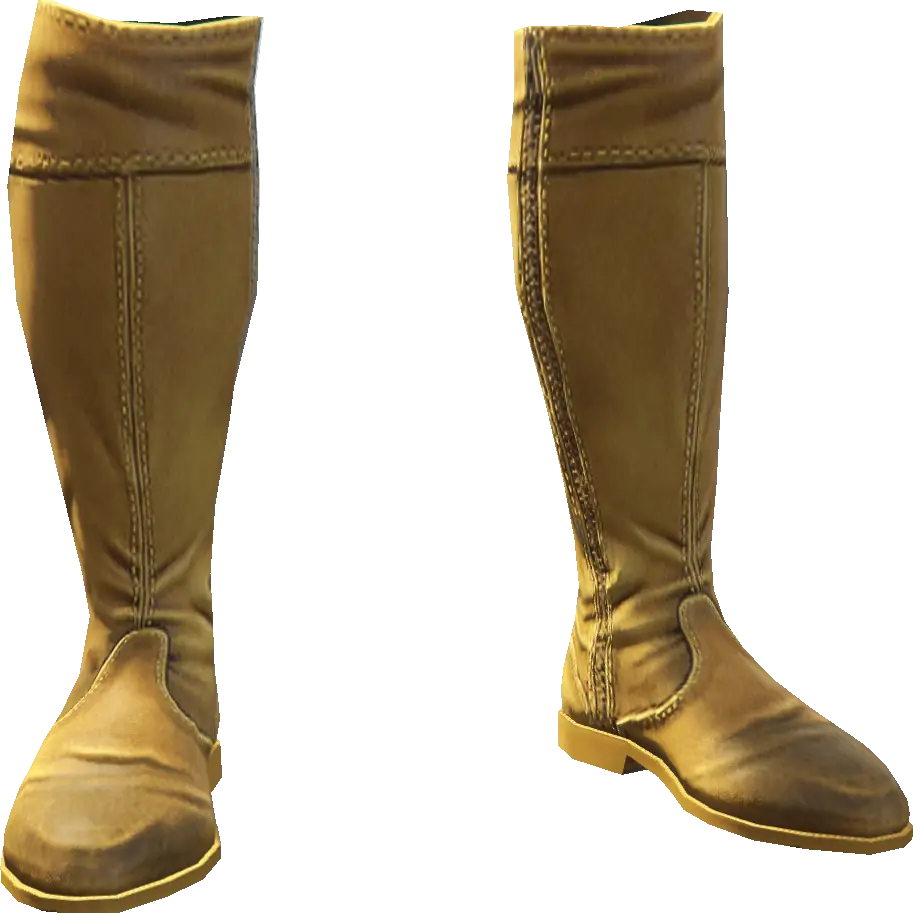 Высокие сапоги