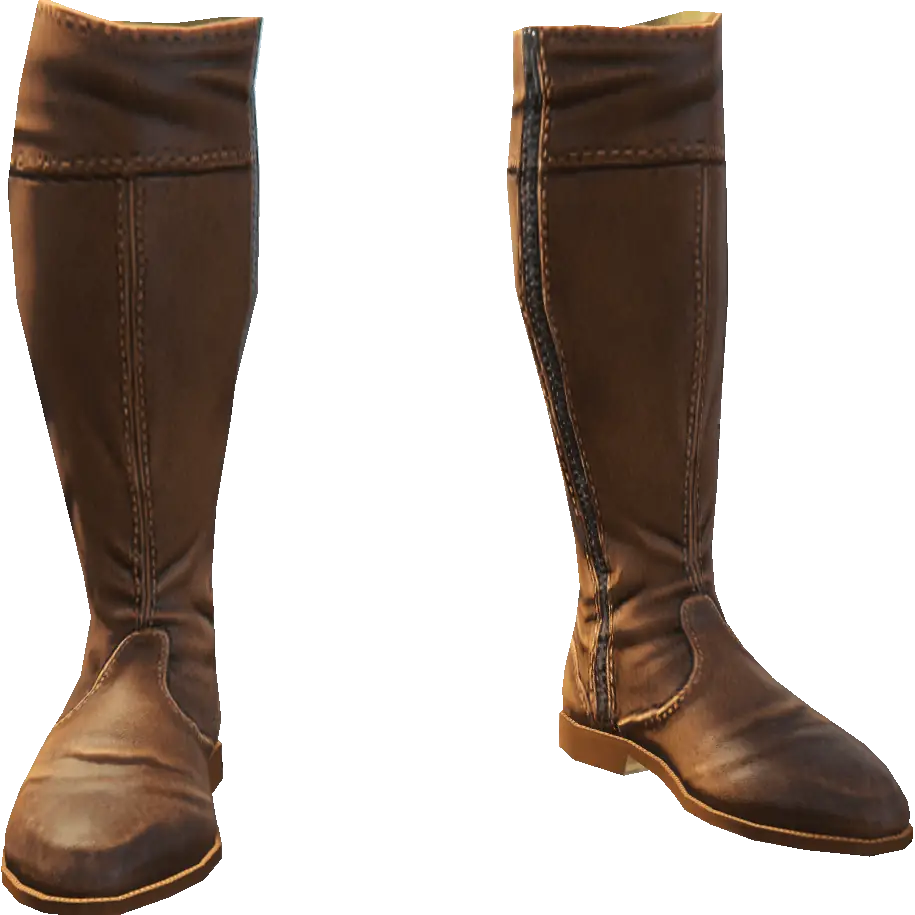 Высокие сапоги