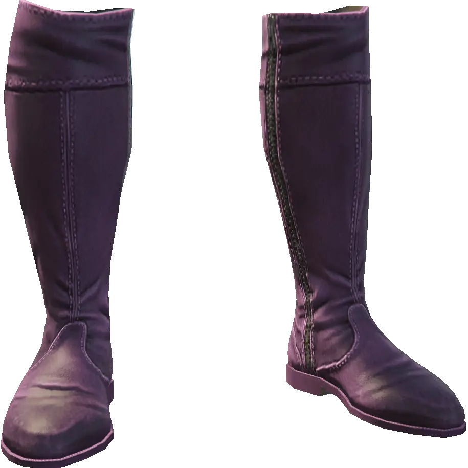 Высокие сапоги