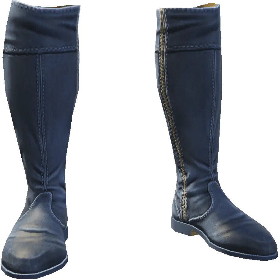 Высокие сапоги