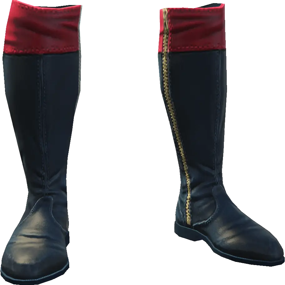 Высокие сапоги