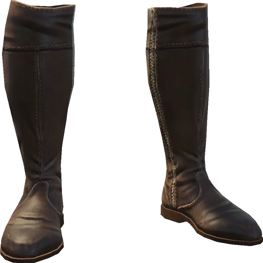 Высокие сапоги