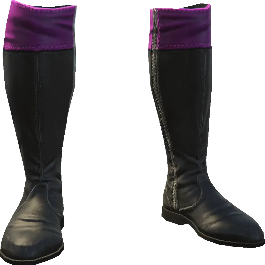 Высокие сапоги