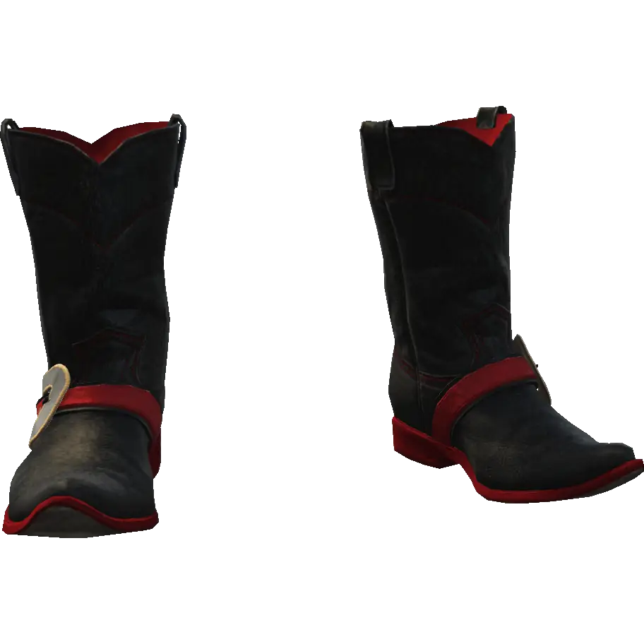 Сапоги ковбойские