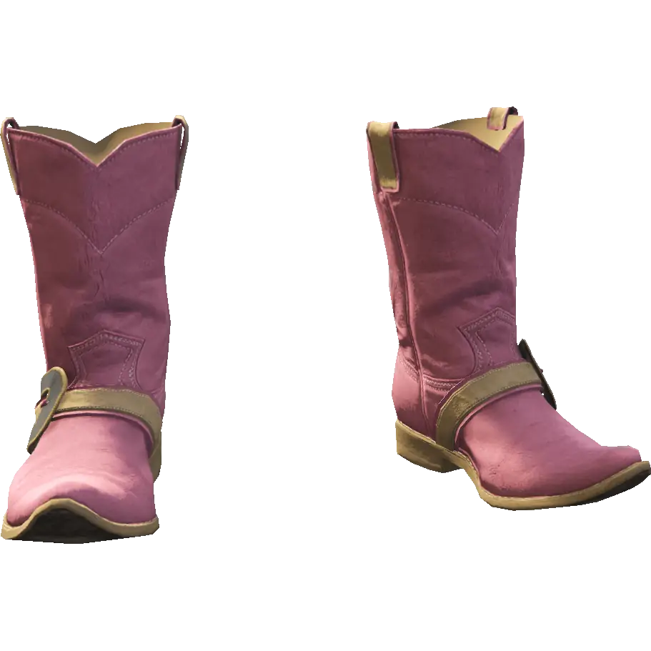 Сапоги Дикий запад 