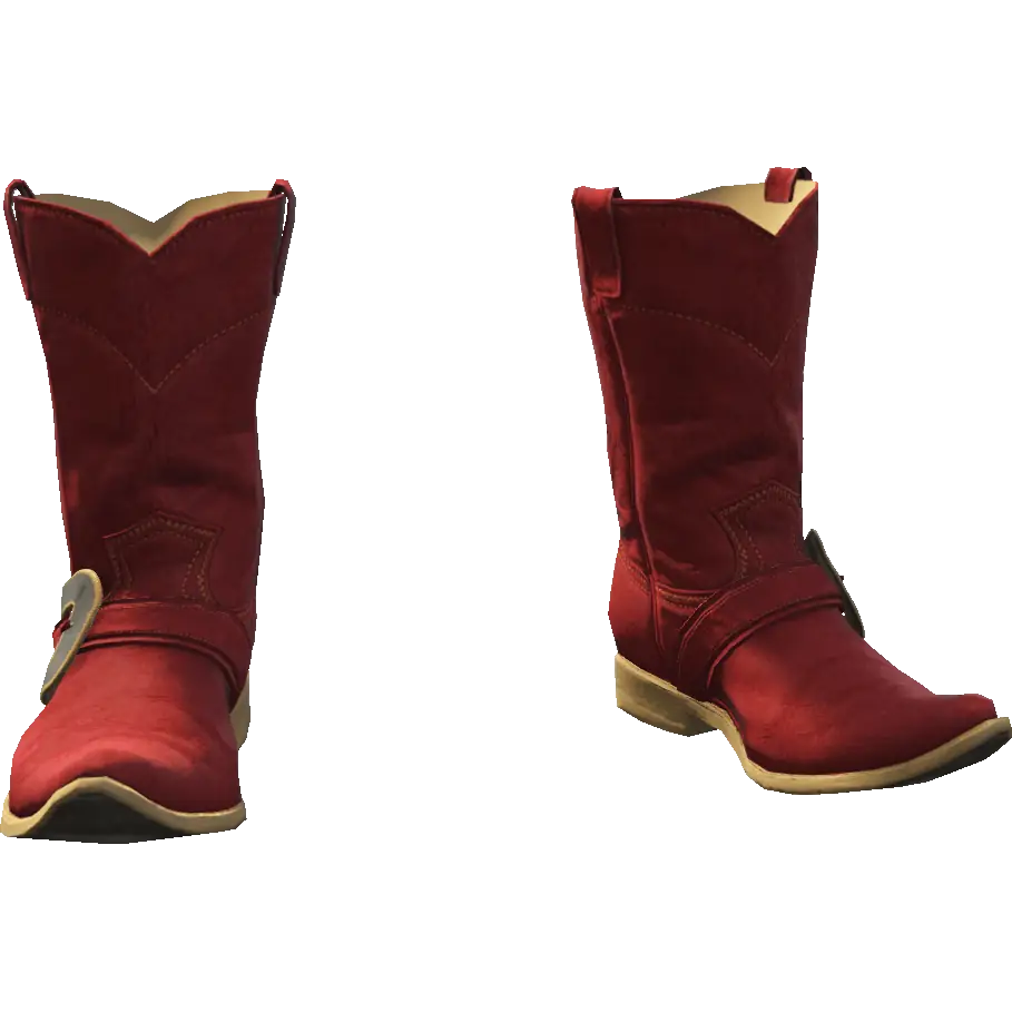 Сапоги Дикий запад 