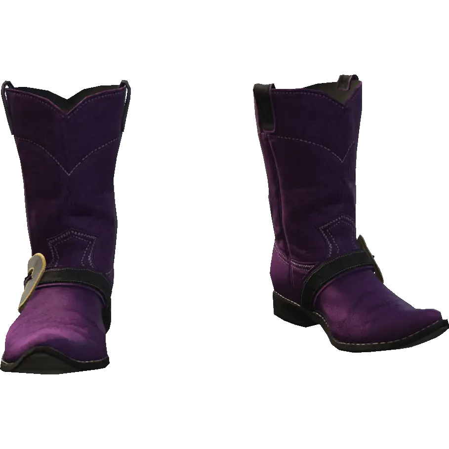 Сапоги Дикий запад 