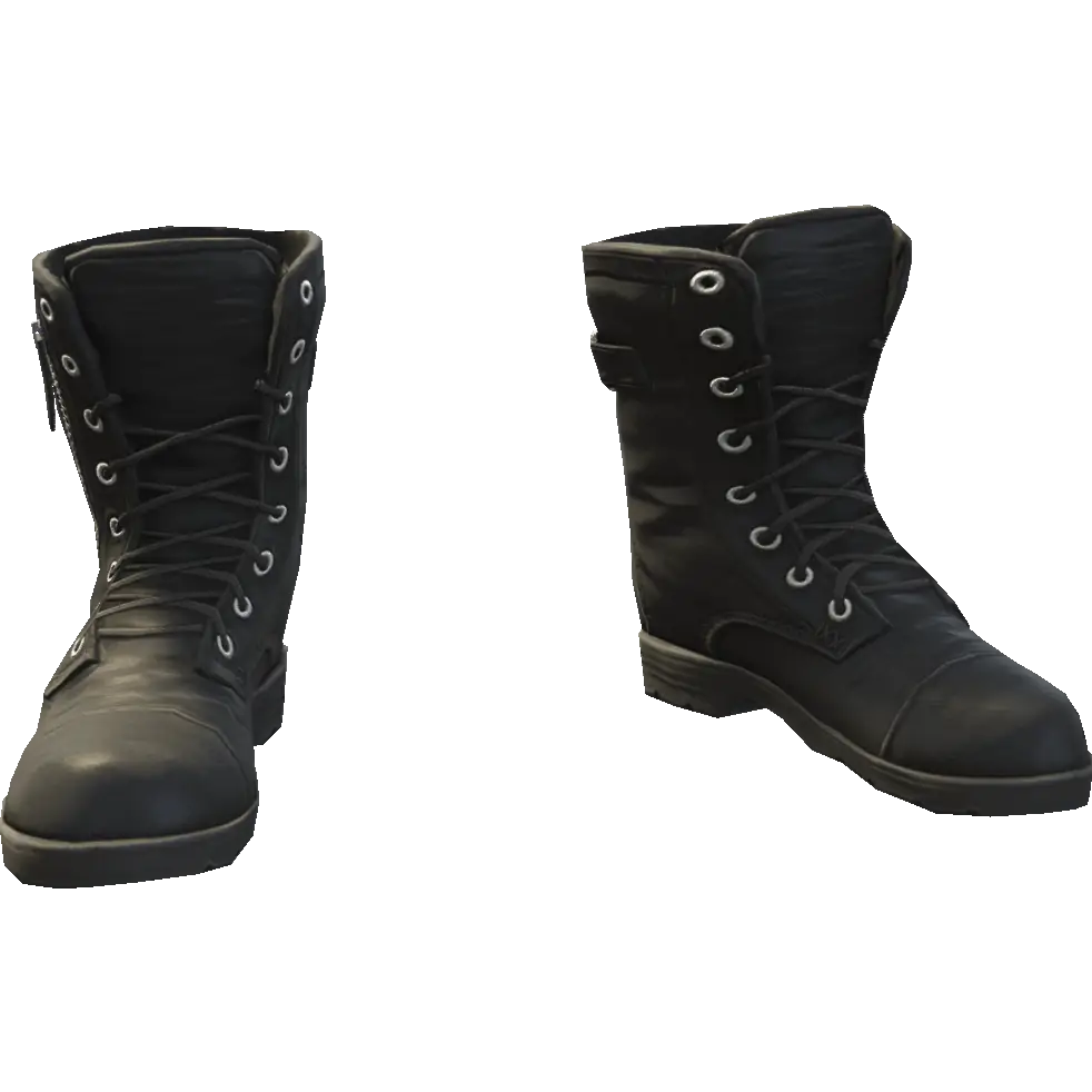 Сапоги на молнии