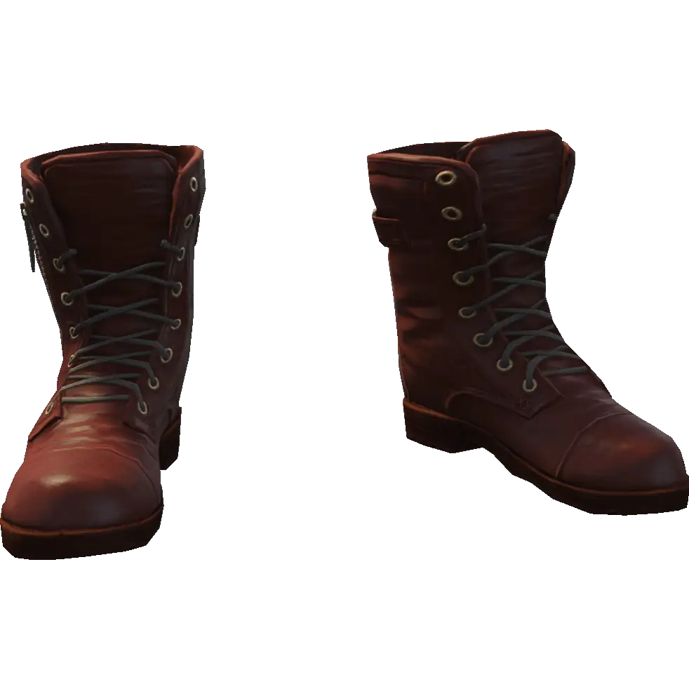 Сапоги на молнии