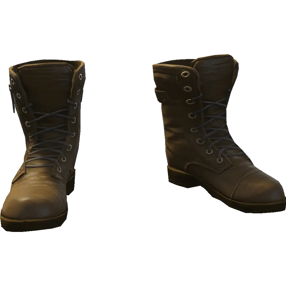 Сапоги на молнии