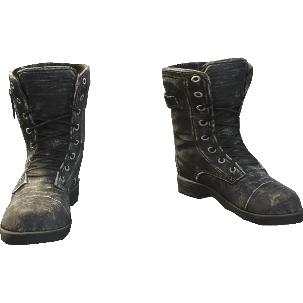 Сапоги на молнии