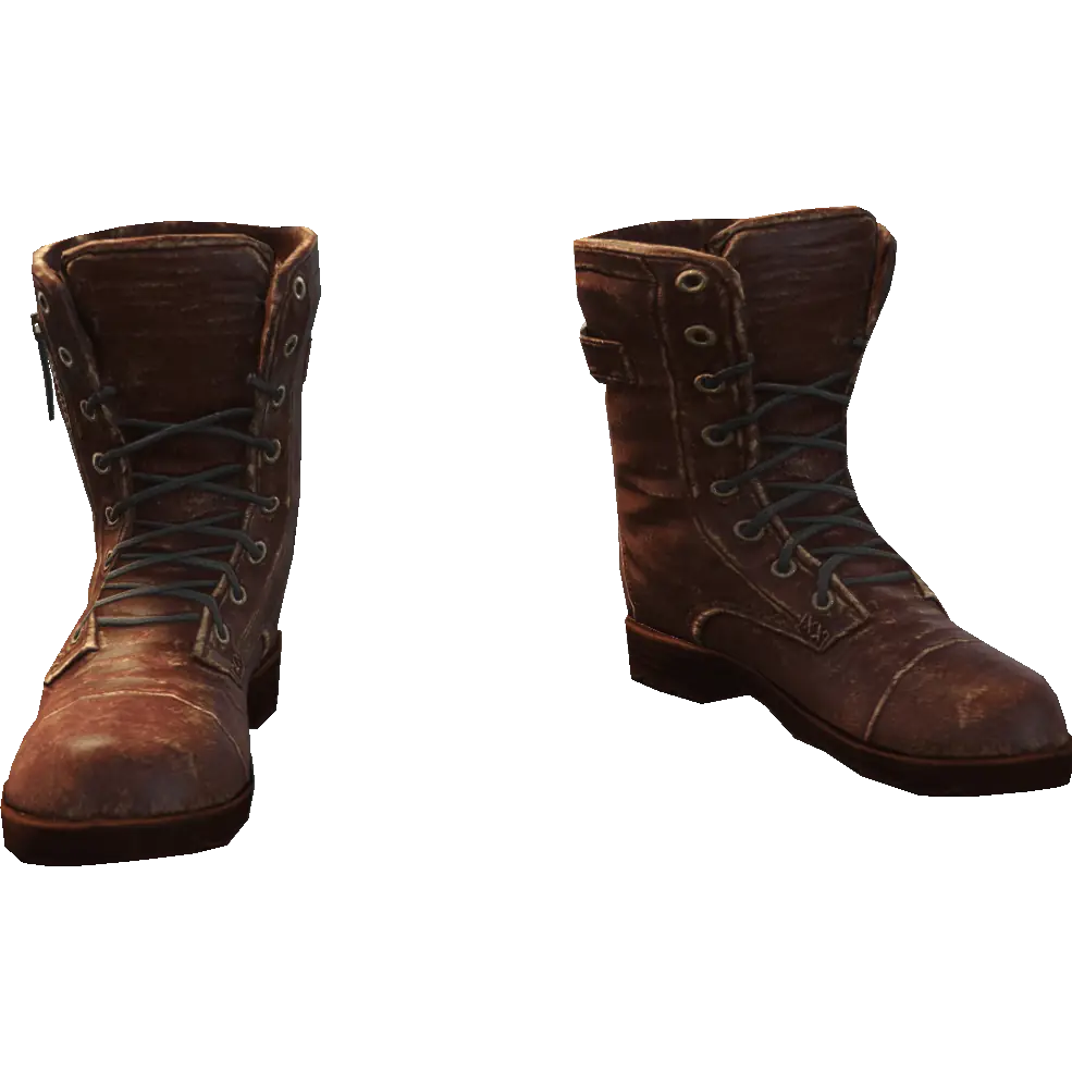 Сапоги на молнии