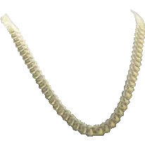 Цепочка №19