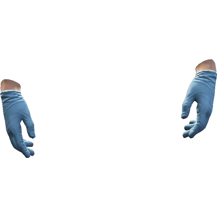 Перчатки №11