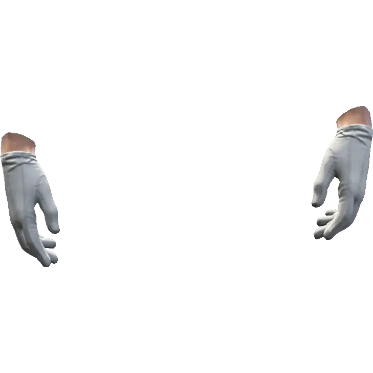 Перчатки №10