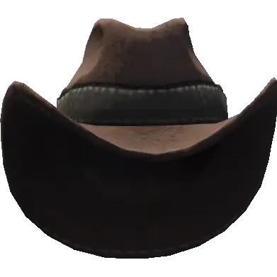 Ковбойская шляпа