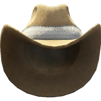 Ковбойская шляпа