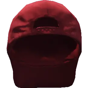 Кепка 'BugStats', с козырьком назад