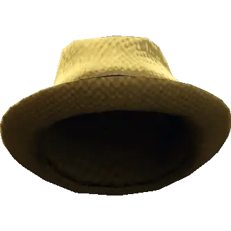 Мексиканская шляпа