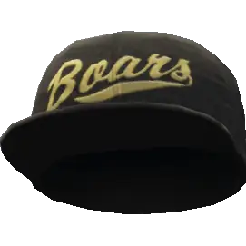 Кепка 'Cagnetica'