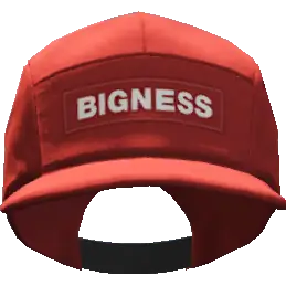 Кепка 'Bigness'