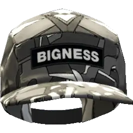 Кепка 'Bigness'