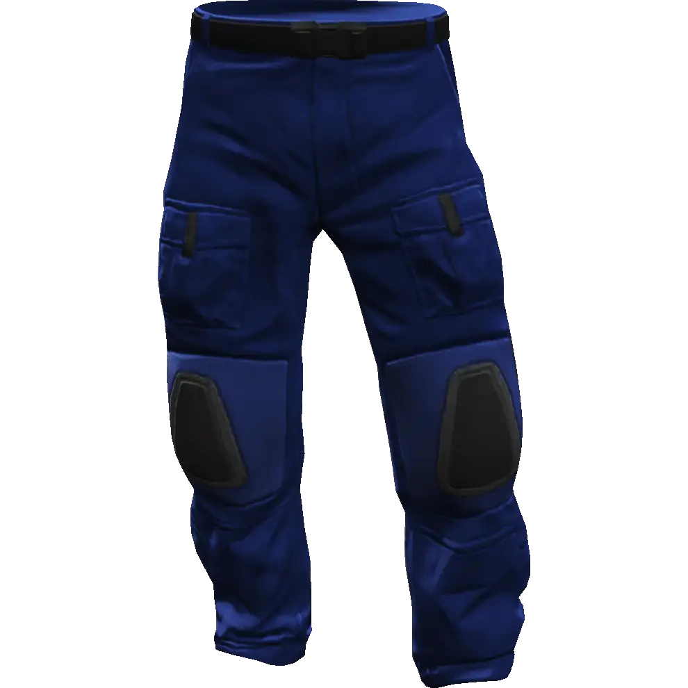 Гоночные штаны