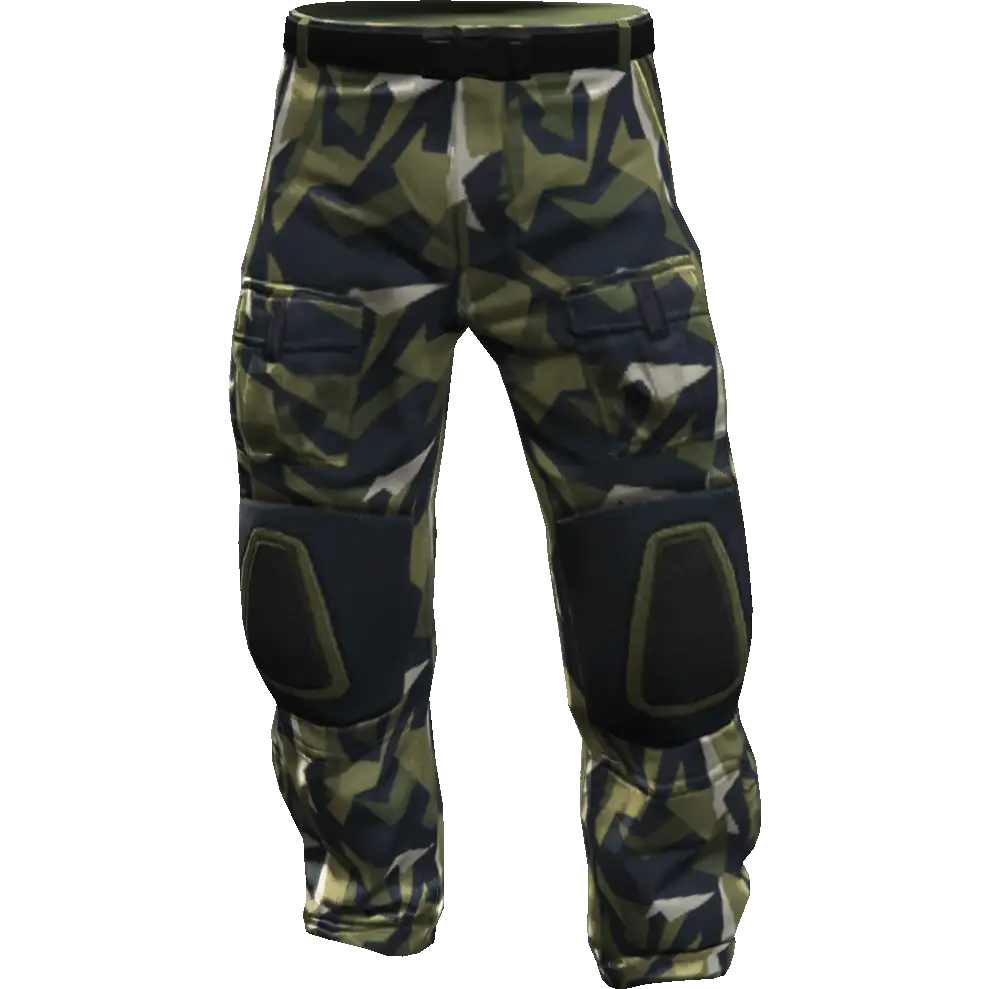 Гоночные штаны