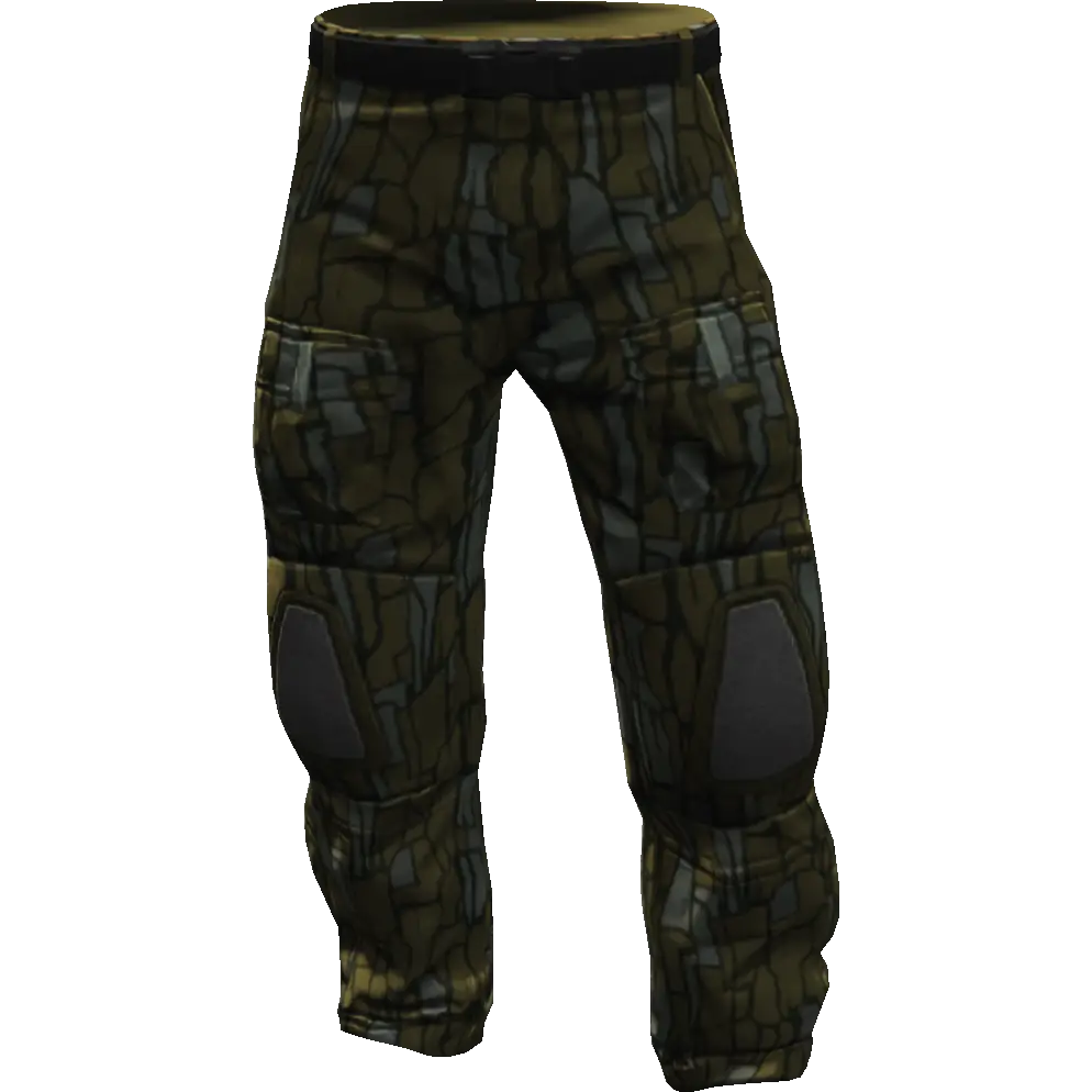 Гоночные штаны