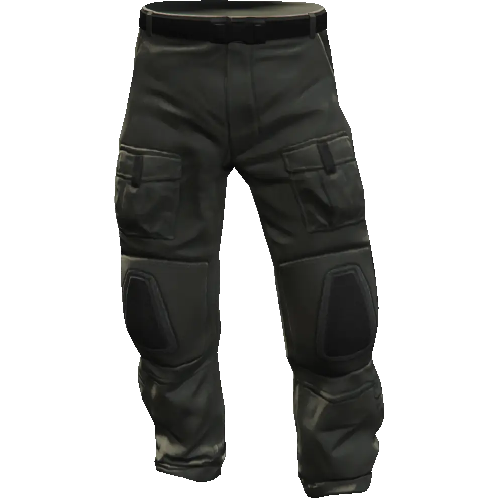 Гоночные штаны