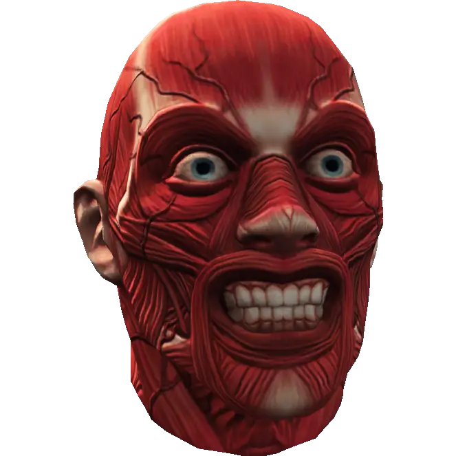 Анатомическая