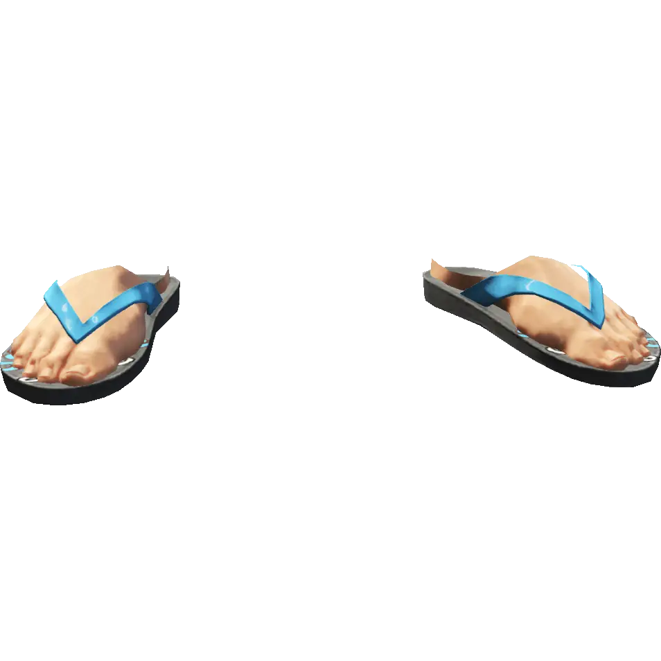 Вьетнамки походные