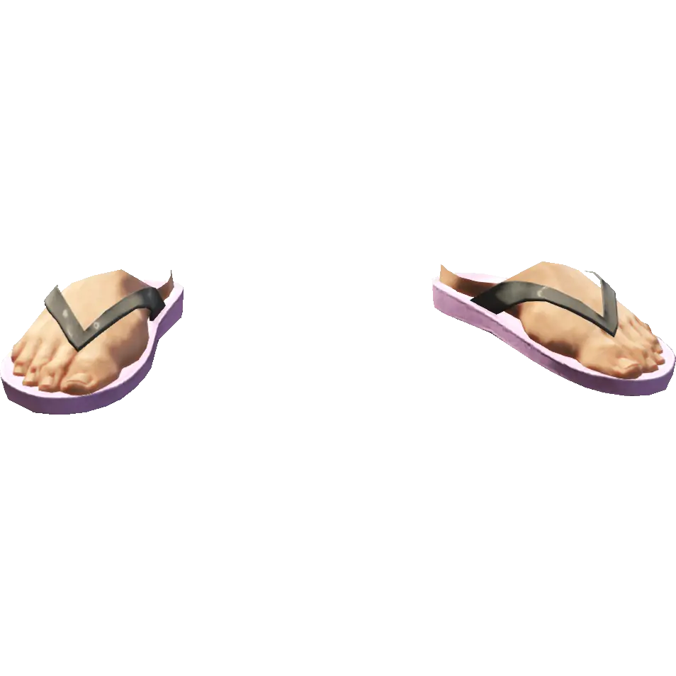 Вьетнамки походные