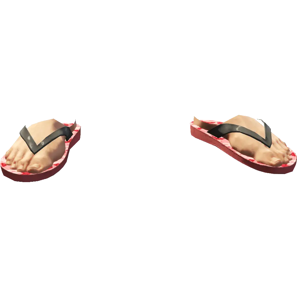 Вьетнамки походные