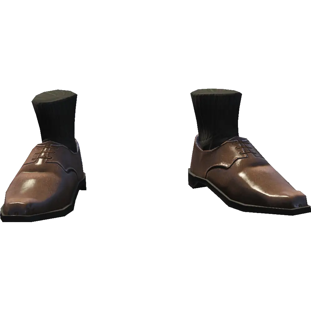 Туфли с носками