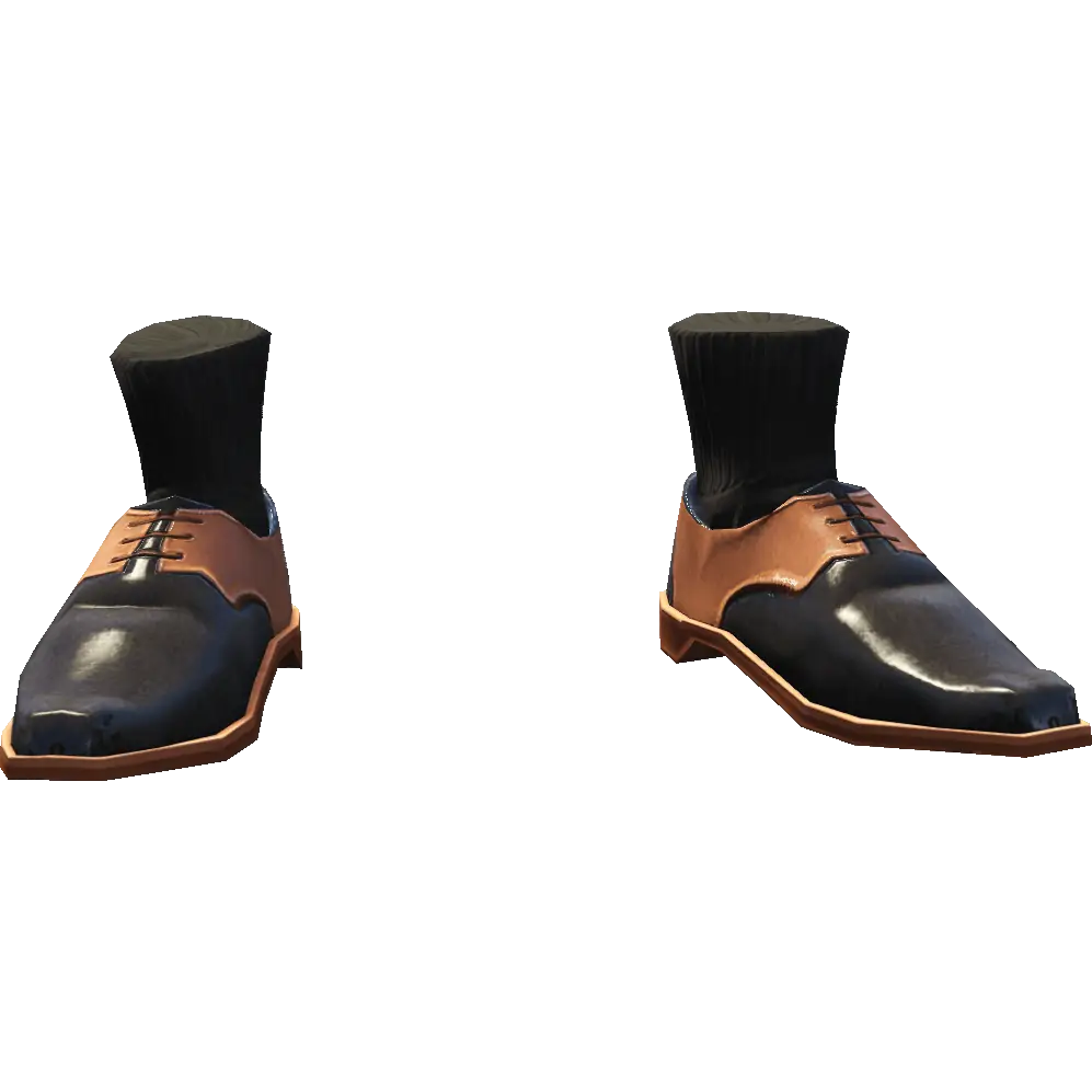 Туфли с носками