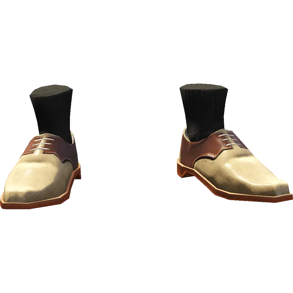 Туфли с носками