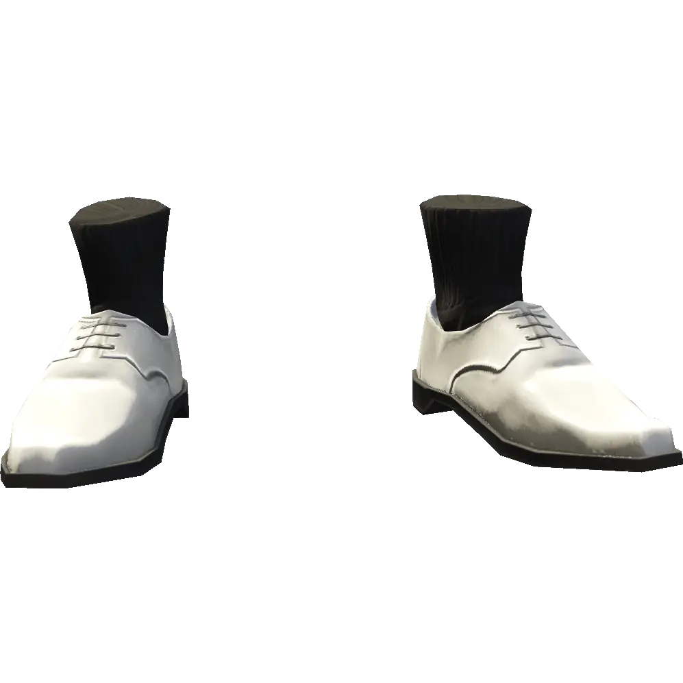 Туфли с носками