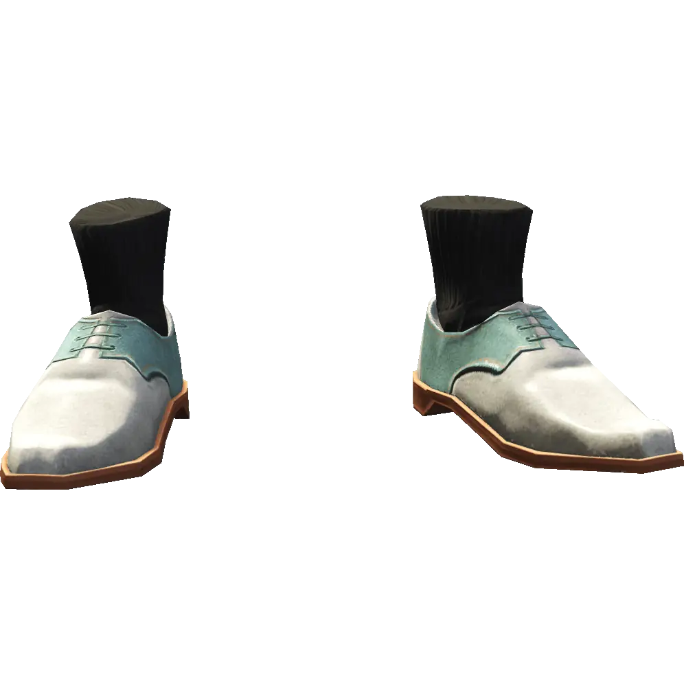 Туфли с носками