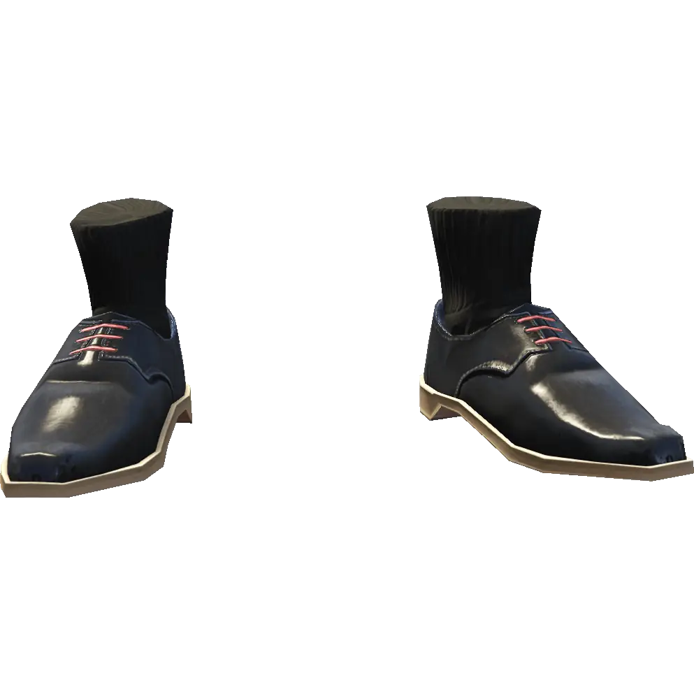 Туфли с носками