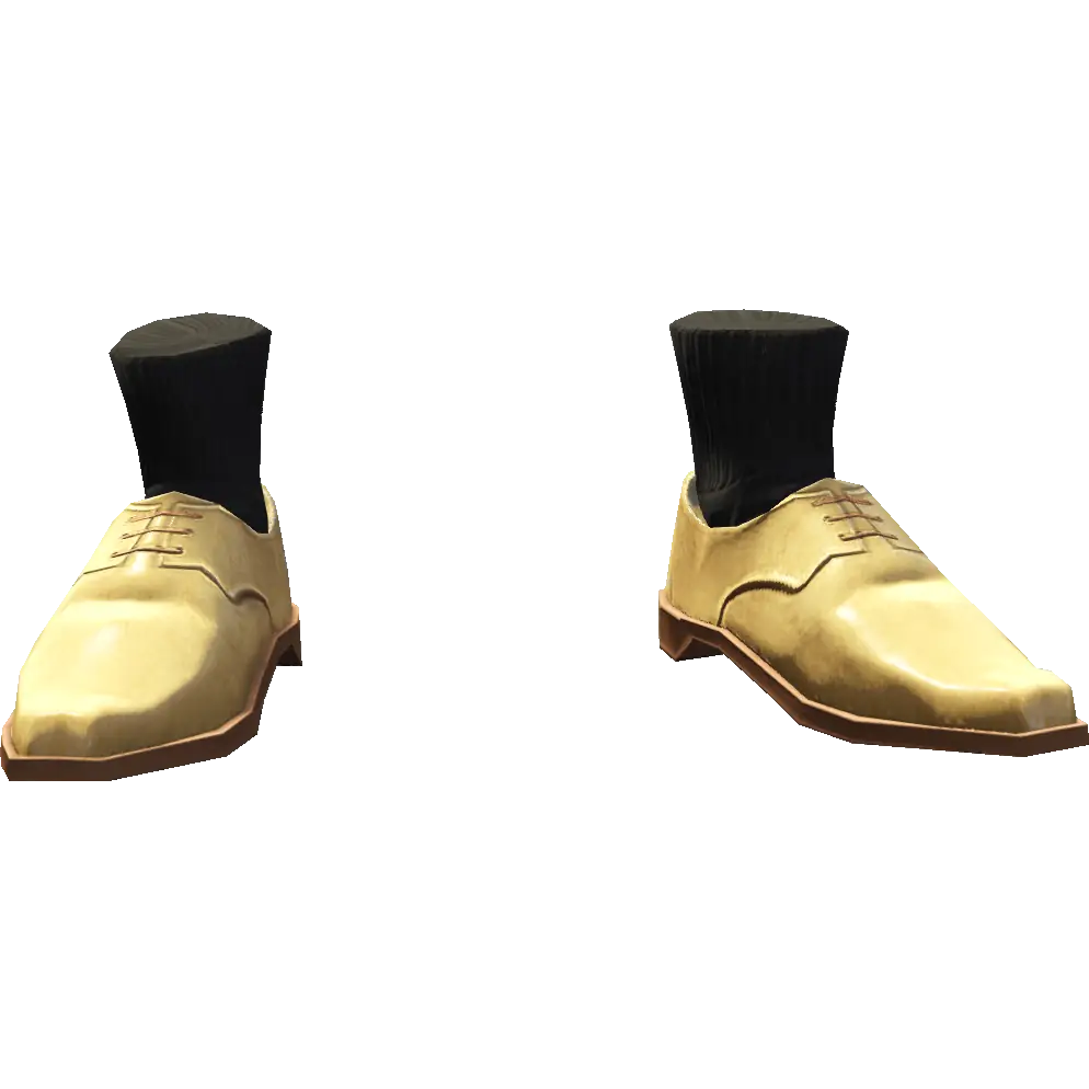 Туфли с носками