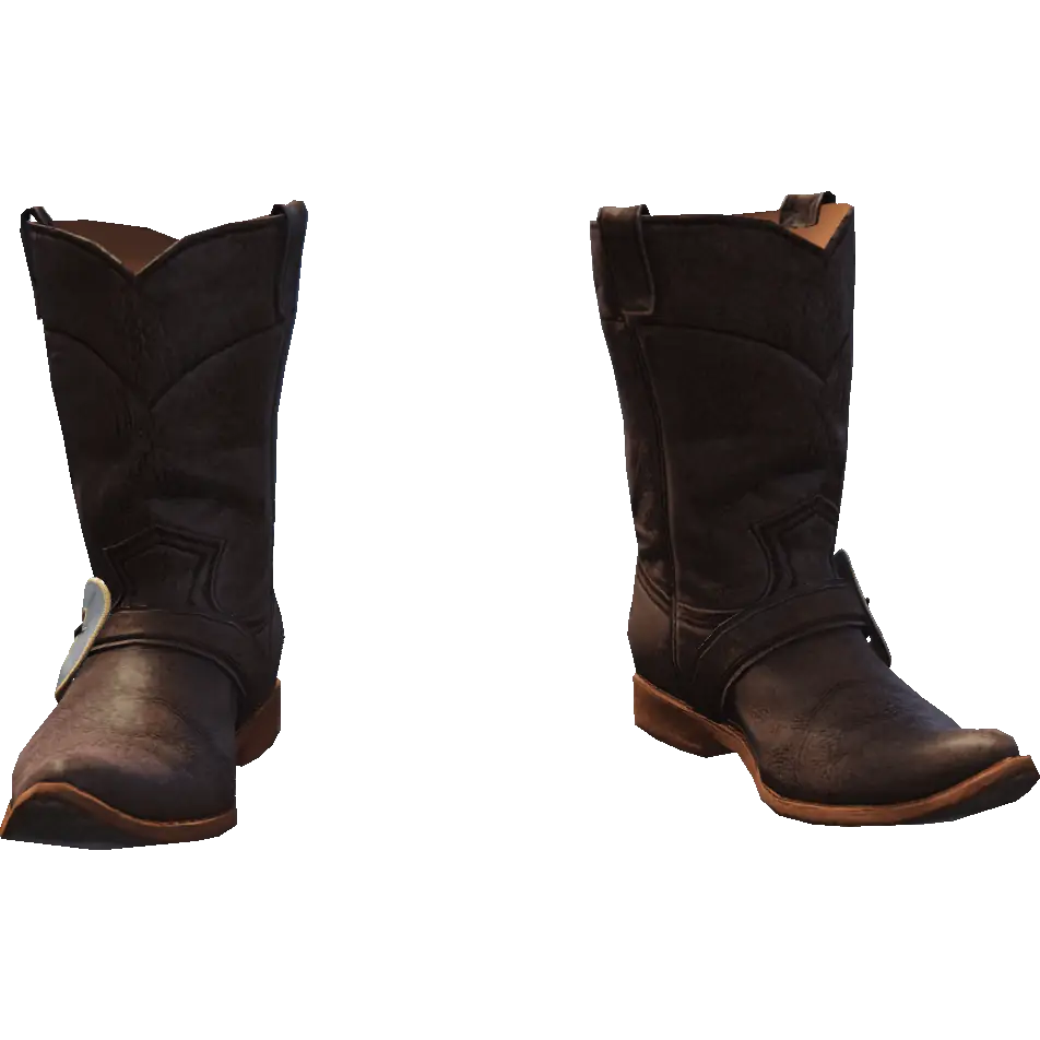 Ковбойские сапоги 